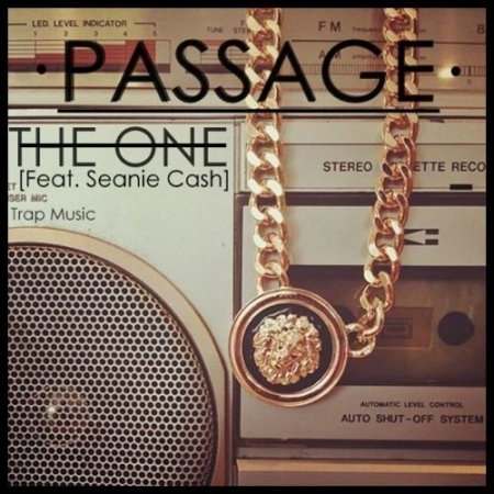 PASSAGE feat. Seanie Cash - The One