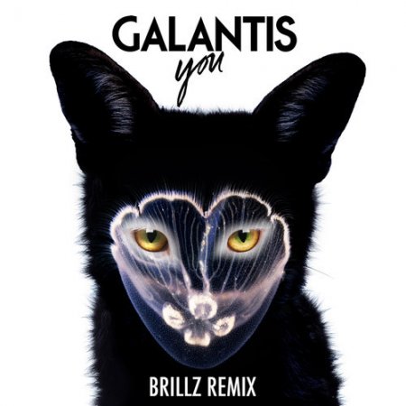 Galantis  You (Brillz Remix)