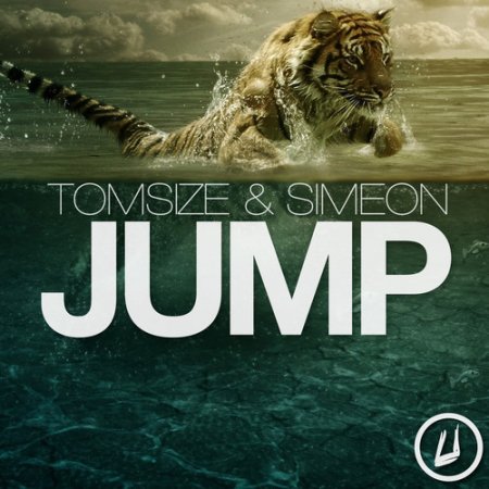 Tomsize & Simeon - Jump (Original Mix)