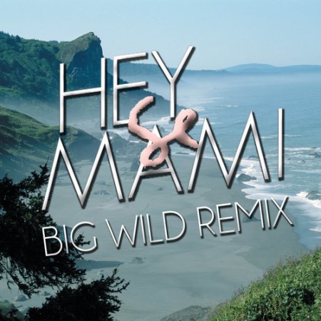 Hey Mami  Sylvan Esso (Big Wild Remix)