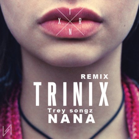 Trey Song - Na Na (Trinix Remix)