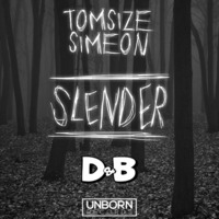 Tomsize & Simeon - Slender (Duck&Bear Remix)