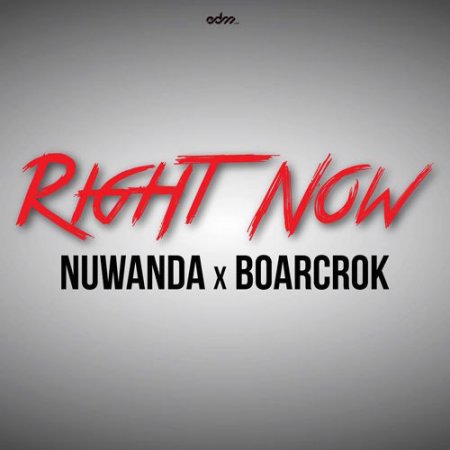 Nuwanda & Boarcrok - Right Now (Original mix)