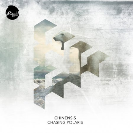 Chinensis - Shadow Of The Falling Sun (Original Mix)