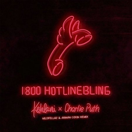 Drake - Hotline Bling (Charlie Puth & Kehlani Cover) (Wildfellaz & Arman Cekin remix)